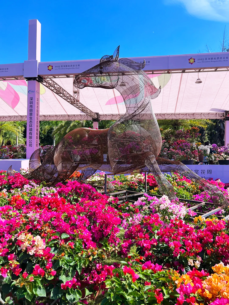 蓮花山花展如何“撐起”那一片藝術天空？