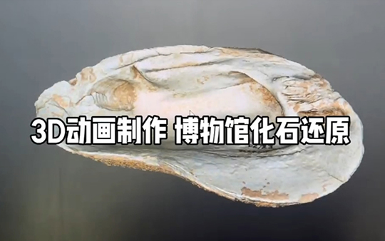 3d動(dòng)畫制作：展廳視覺內(nèi)容整包